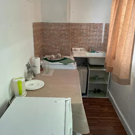 Apartament Garsoniera La Curte Paula *