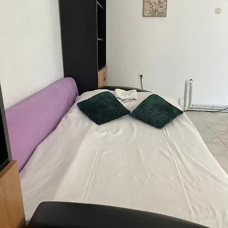 Garsoniera La Curte Paula Apartman *